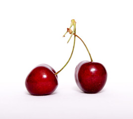 Cerises