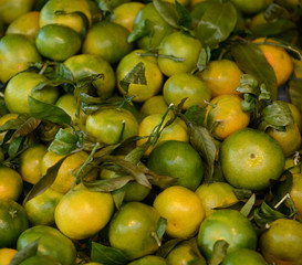 Pile of fresh mandarine fruit