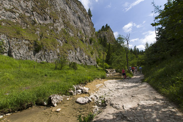 Górski wąwóz © Piotr Szpakowski