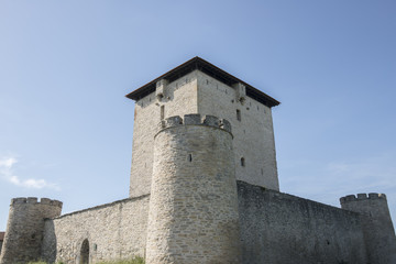 Fototapeta na wymiar The fortified tower of Mendoza, Vitoria (Spain)