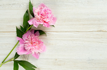 peony flowers on wooden surface