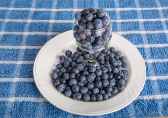 Blueberries in Glass on Plate
