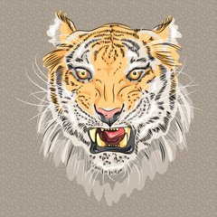 vector menacing growling tiger