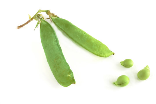pod green peas