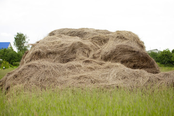 Photo of rolls of hay in the field