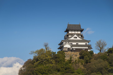 愛知県、犬山城