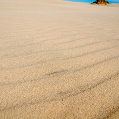Fototapeta na wymiar Sand Textur - Wellen im Sand
