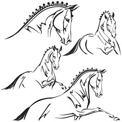 Dressage horses for trailer design
