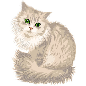 Vector Lilac Fluffy Cute Cat With Green Eyes