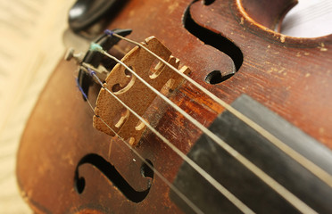 Beautiful violin