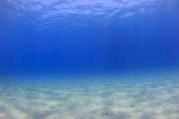 Underwater background - sunlight on ocean floor