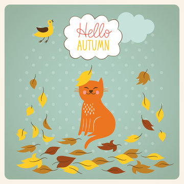 Cat and fall of the leaves