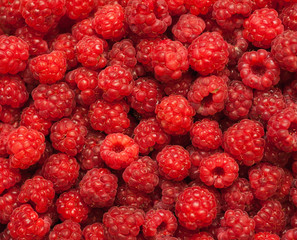many red succulent raspberries backgrounds