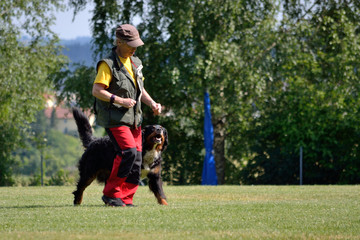 Fuß gehen mit einem Hund