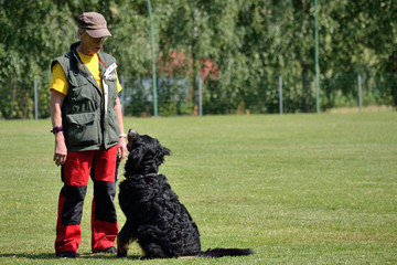 Hund sitzt vor Hundetrainerin