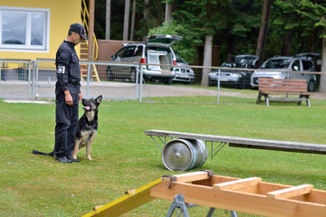 Trainer mit Schaeferhund vor Huerde