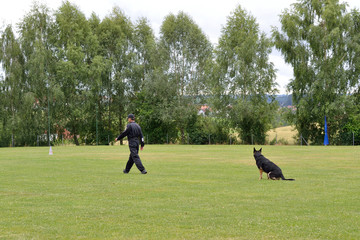 Hundetrainer uebt mit Schaeferhund