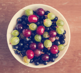 bowl with different fresh berries bright, summer still life