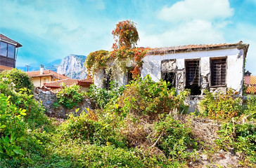 The abandoned house