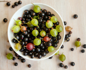 berries of black currant and gooseberry green in a white bowl, t