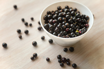 Fototapeta na wymiar black currant berries in white plate, soft focus