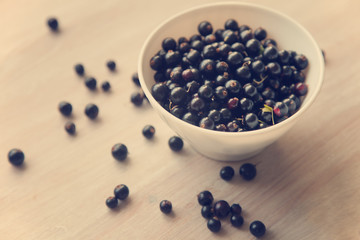 black currant berries in white plate, soft focus