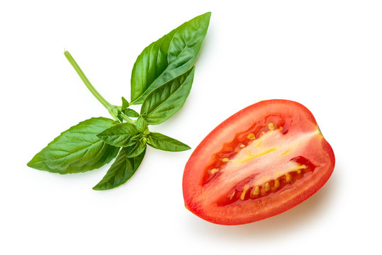 Basil leaves and cut San Marzano tomato isolated on white background