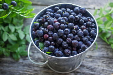ripe blueberries