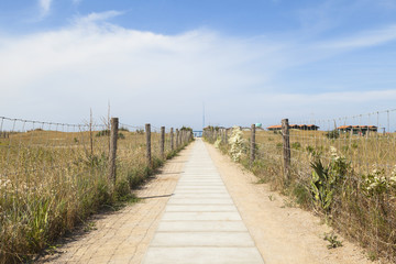 Fototapeta premium path to the beach