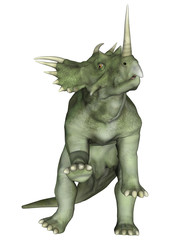 Fototapeta premium Dinosaur Styracosaurus
