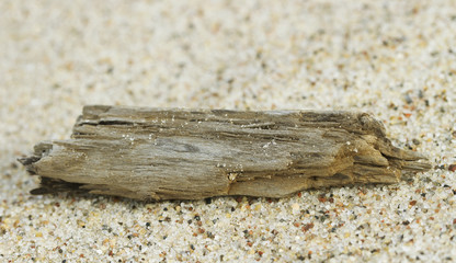 Warm sand.