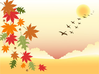 autumn background