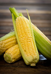 Fresh corn on the wooden table