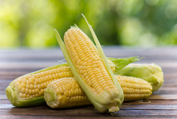 Fresh corn on the wooden table