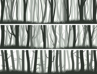 Fototapeta premium Horizontal banners forest with trunks of trees.