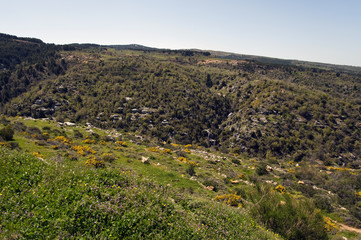 Naklejka premium Libanon, Wadi Qadisha