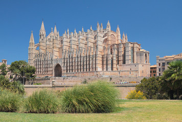 Fototapeta premium Cathedral Santa Maria. Palma-de-Majorca, Spain