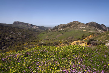 Libanon, Wadi Qadisha