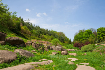 Fototapeta na wymiar Landscaping, arboretum Sofievka