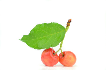 czereśnie na białym tle