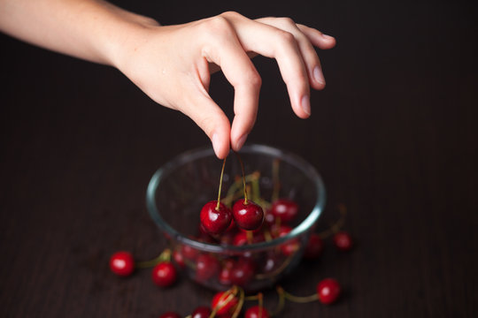 Fresh cherries in woman hands