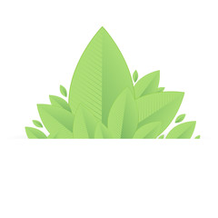 Green leafs background with place for your text