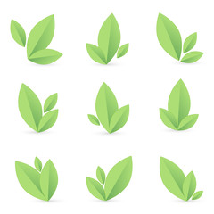 Set of simple green leaf, isolated, vector illustration