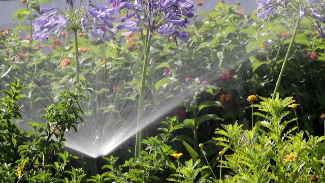 Garden Irrigation Spray watering flower bed