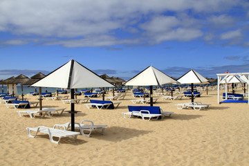 Beach umbrellas and loungers on a golden beach