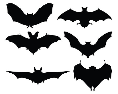 Black silhouettes of bats on a white background, vector