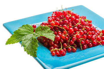 Red currant