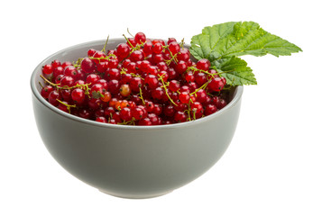 Red currant