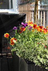 Beautiful terrace with a lot of flowers