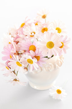 delicate daisy flowers in a beautiful ceramic vase